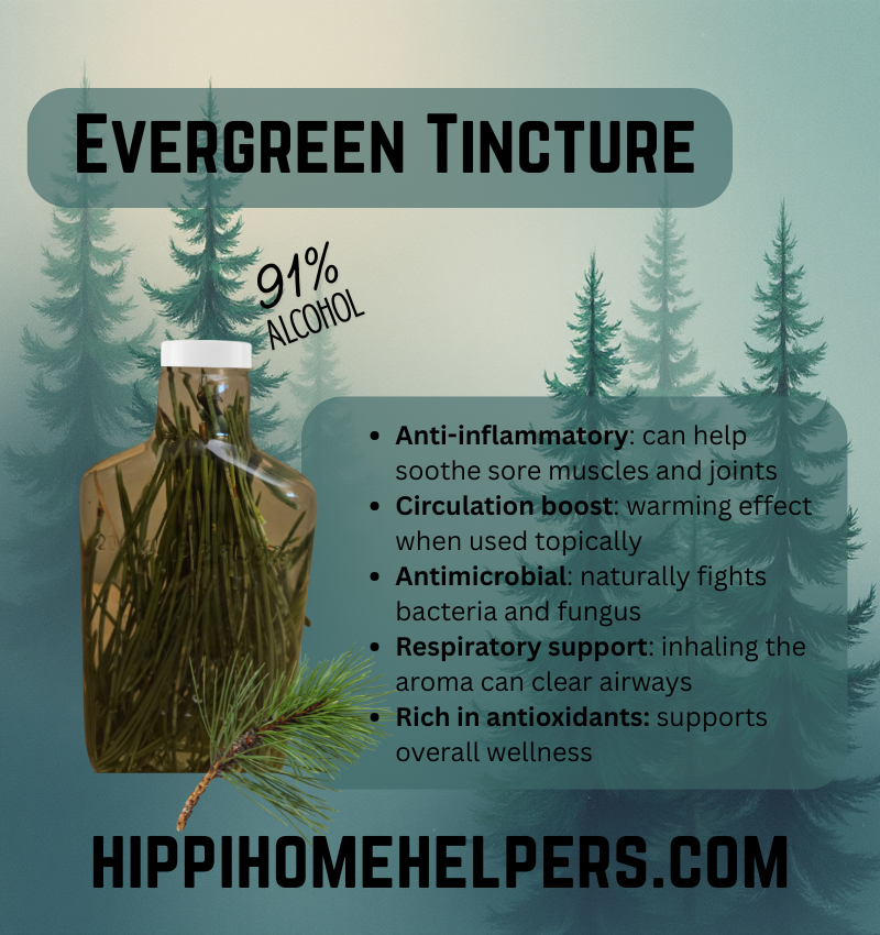 Evergreen Needle Elixir